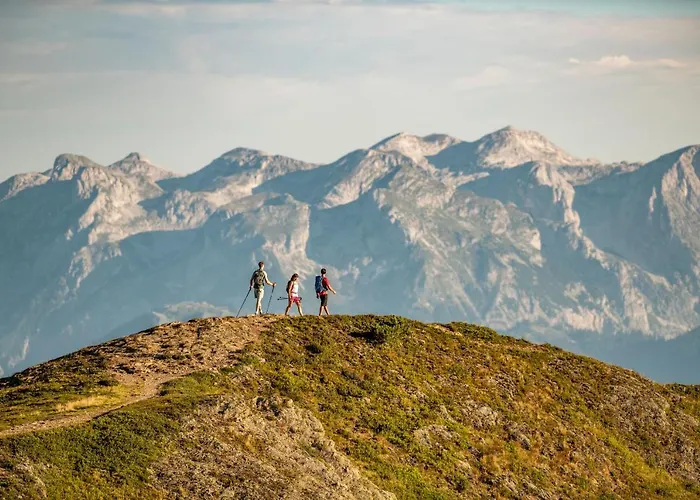 ホテル Superior Alpenhof 4*