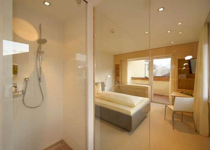 Superior Alpenhof Hotel 4*